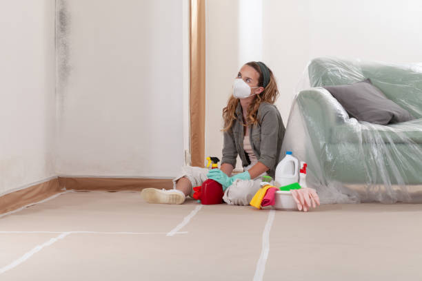 Reliable Mold Remediation contractor in Brighton, IL by Mold Remediation HQ